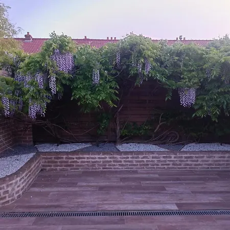 Apartment & Aa-terrasse-jardin-wifi-parking-classe 3 Etoiles *