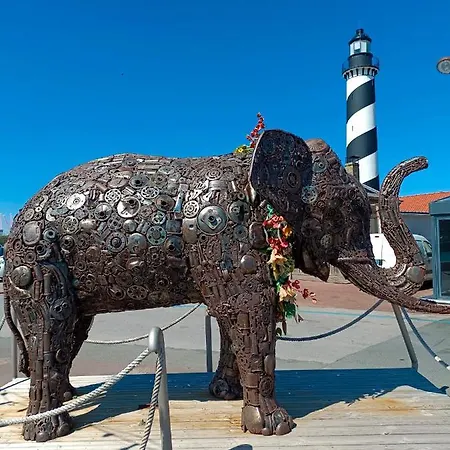 Apartment & Aa-terrasse-jardin-wifi-parking-classe 3 Etoiles *