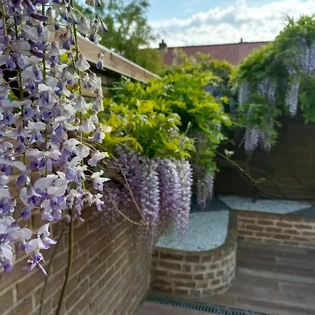 & Aa-terrasse-jardin-wifi-parking-classe 3 Etoiles Apartment *